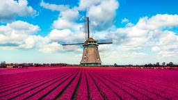 Find cheap flights from Liverpool to Netherlands