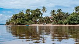 Find cheap flights to Guyana