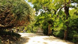 Lisbon hotels near Jardim Bot&acirc;nico