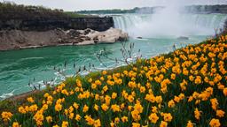 Niagara Falls resorts