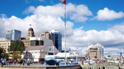 Find cheap flights from London City to Halifax