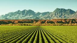 Safford Hotels