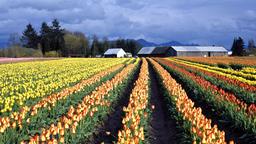 Find cheap flights to Washington