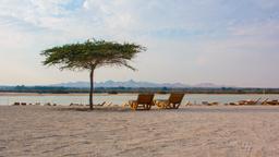 Sir Bani Yas hotel directory