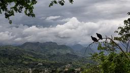 Find cheap flights to Colombia