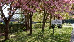 Wilmslow Hotels