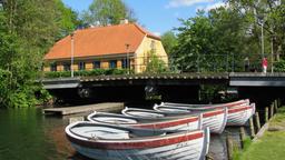 Lyngby car hire