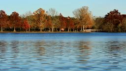 Metairie car hire