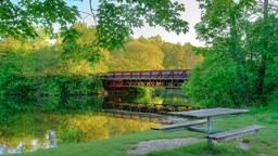 Ann Arbor car hire