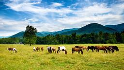 Find cheap flights to Tennessee