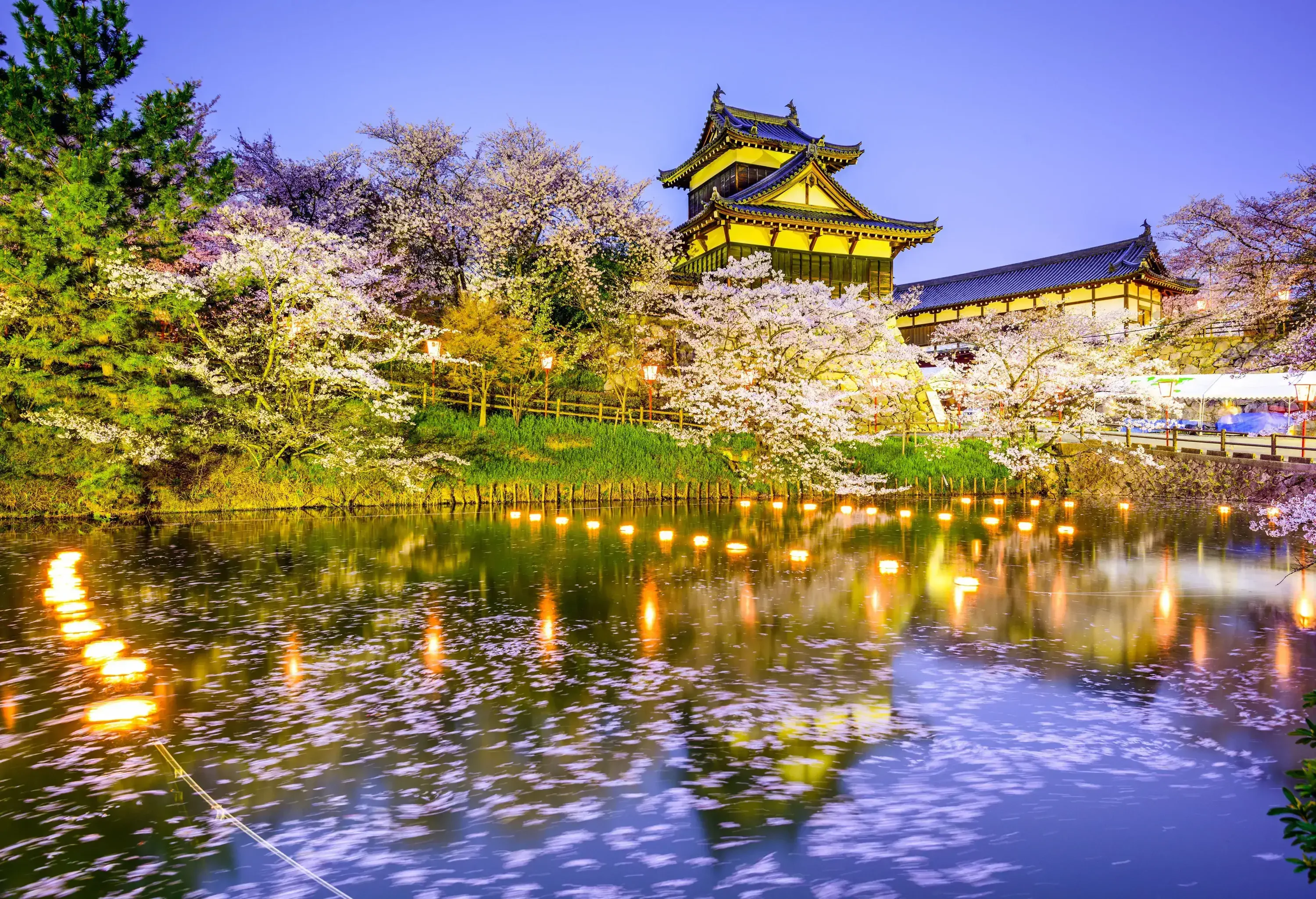 A serene lake in the foreground, framed by cherry trees in full bloom with petals gracefully floating on the water's surface, and the historic Koriyama Castle standing majestically in the background.