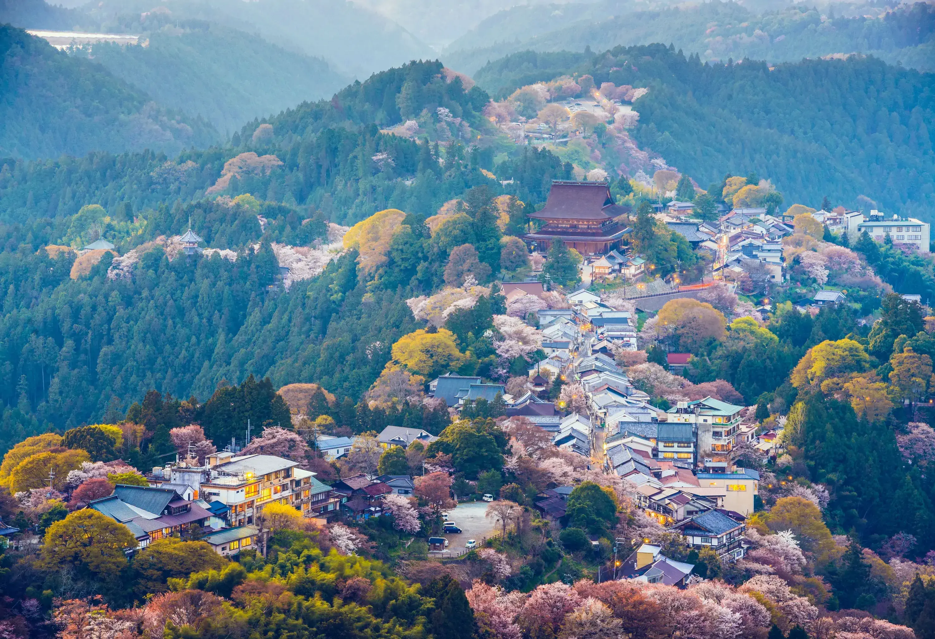 A hilltop village surrounded by a dense forest of cherry blossoms and vibrant fall foliage.