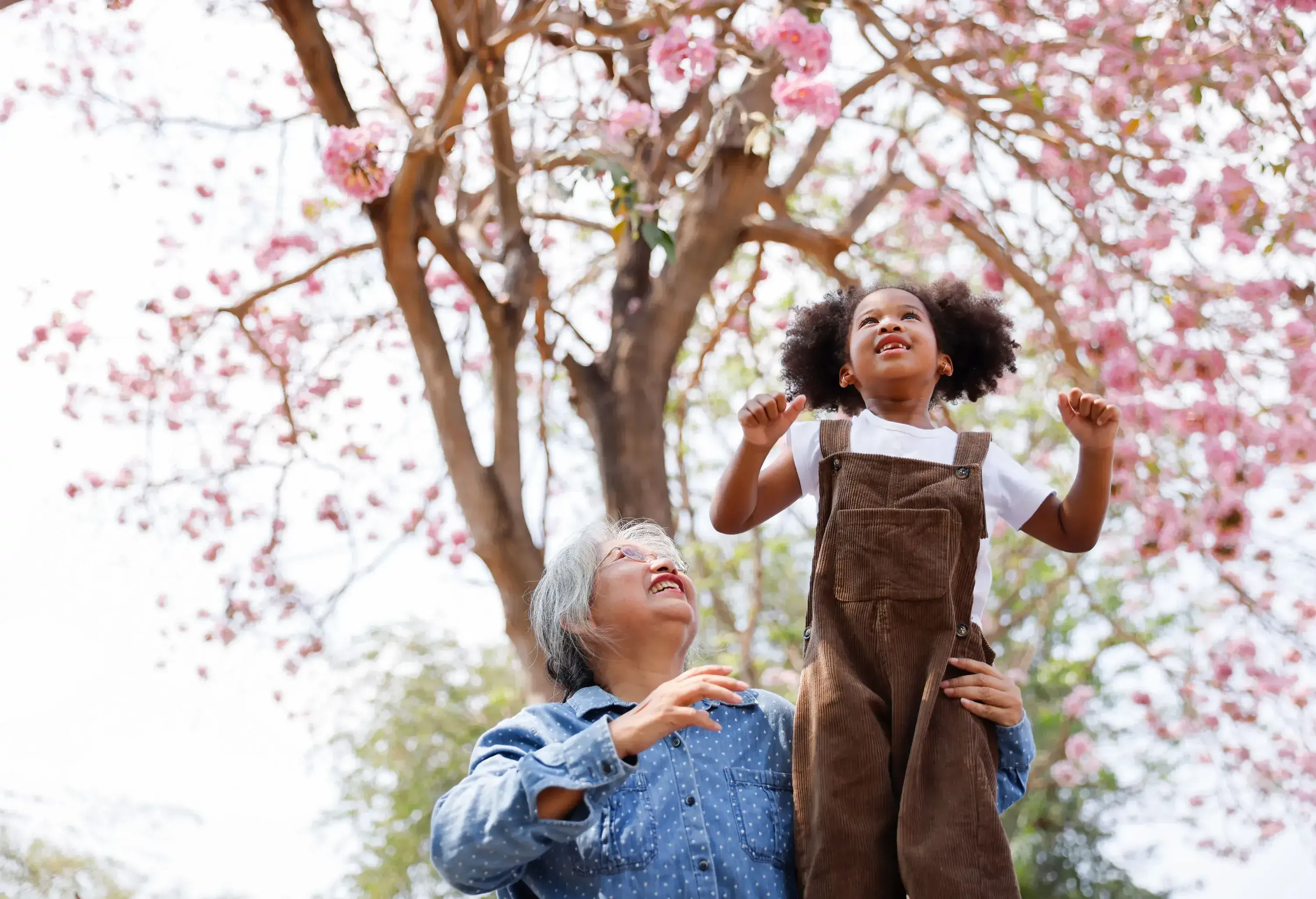 An elderly woman holds a standing kid who gazes at the tree branches.