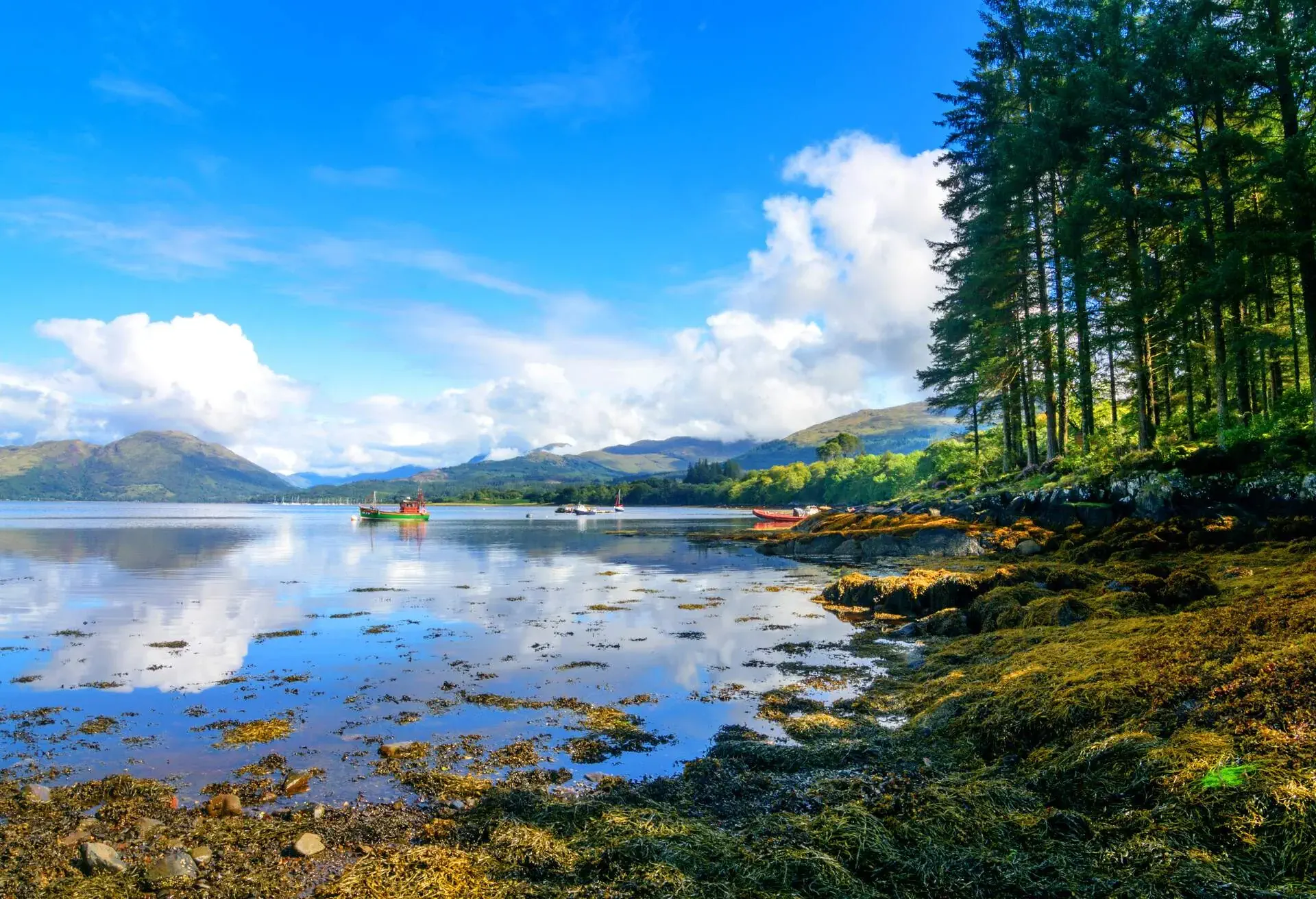 Beautiful Loch Creran, a saltwater loch full of aquatic life and algae near Oban on the Atlantic Coast in Central Scotland; Shutterstock ID 716350738