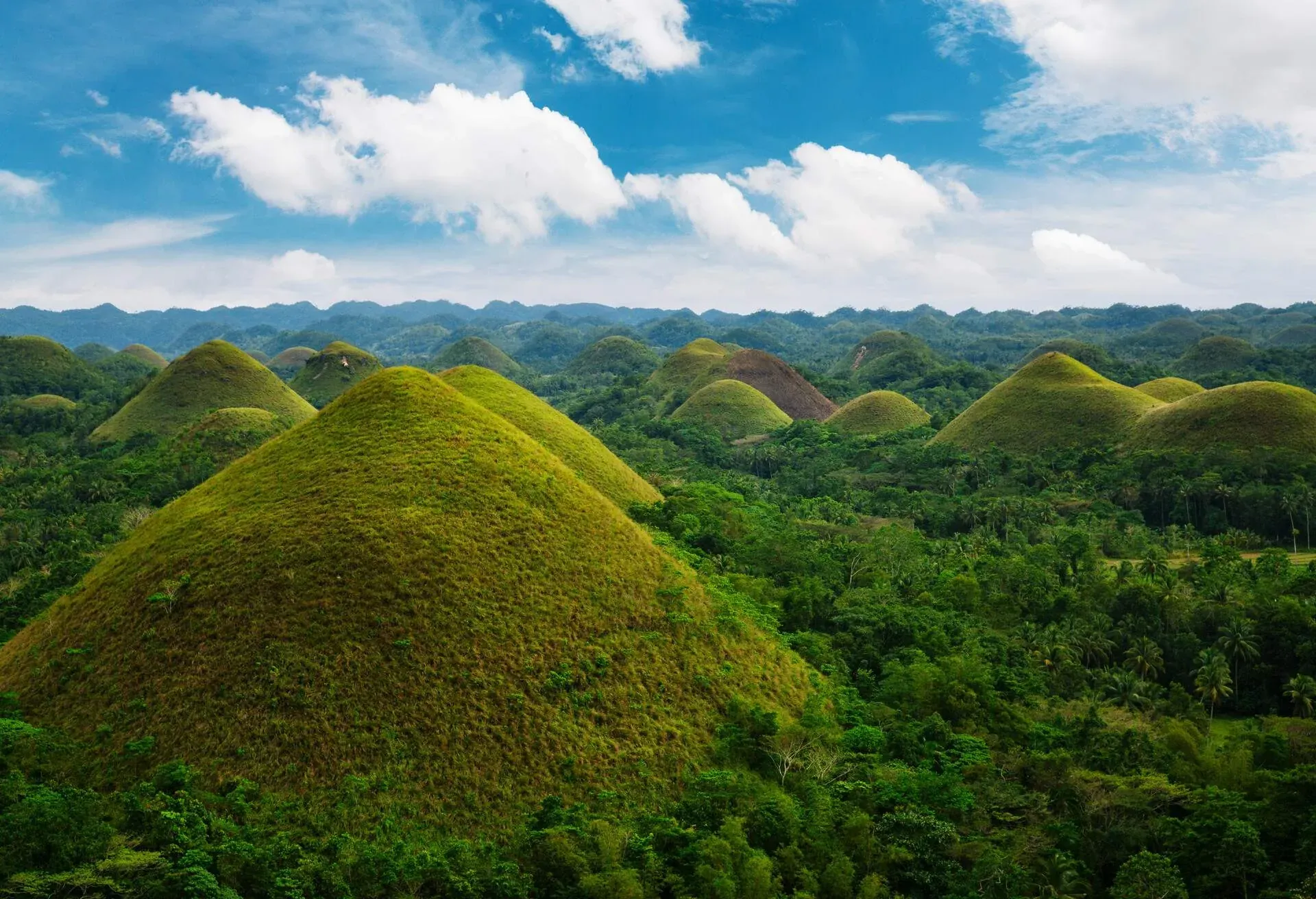 Chocolate hills - Bohol island, Philippines
