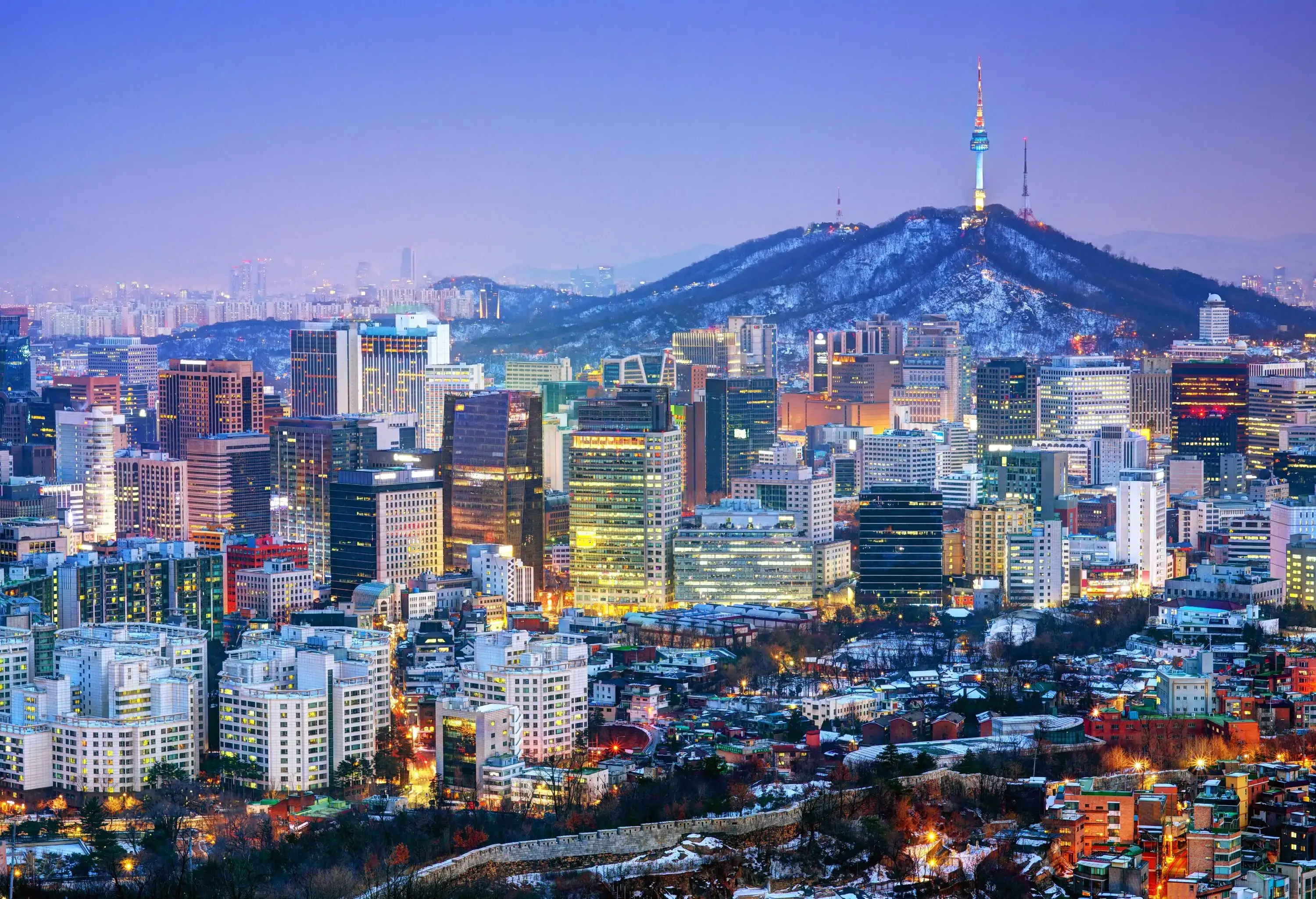 A lively metropolis with high skyscrapers and a mountain in the background.