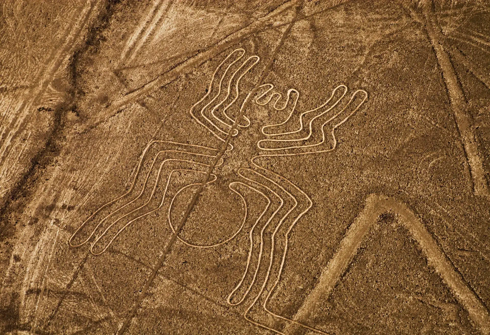 card-3-nasca-lines
