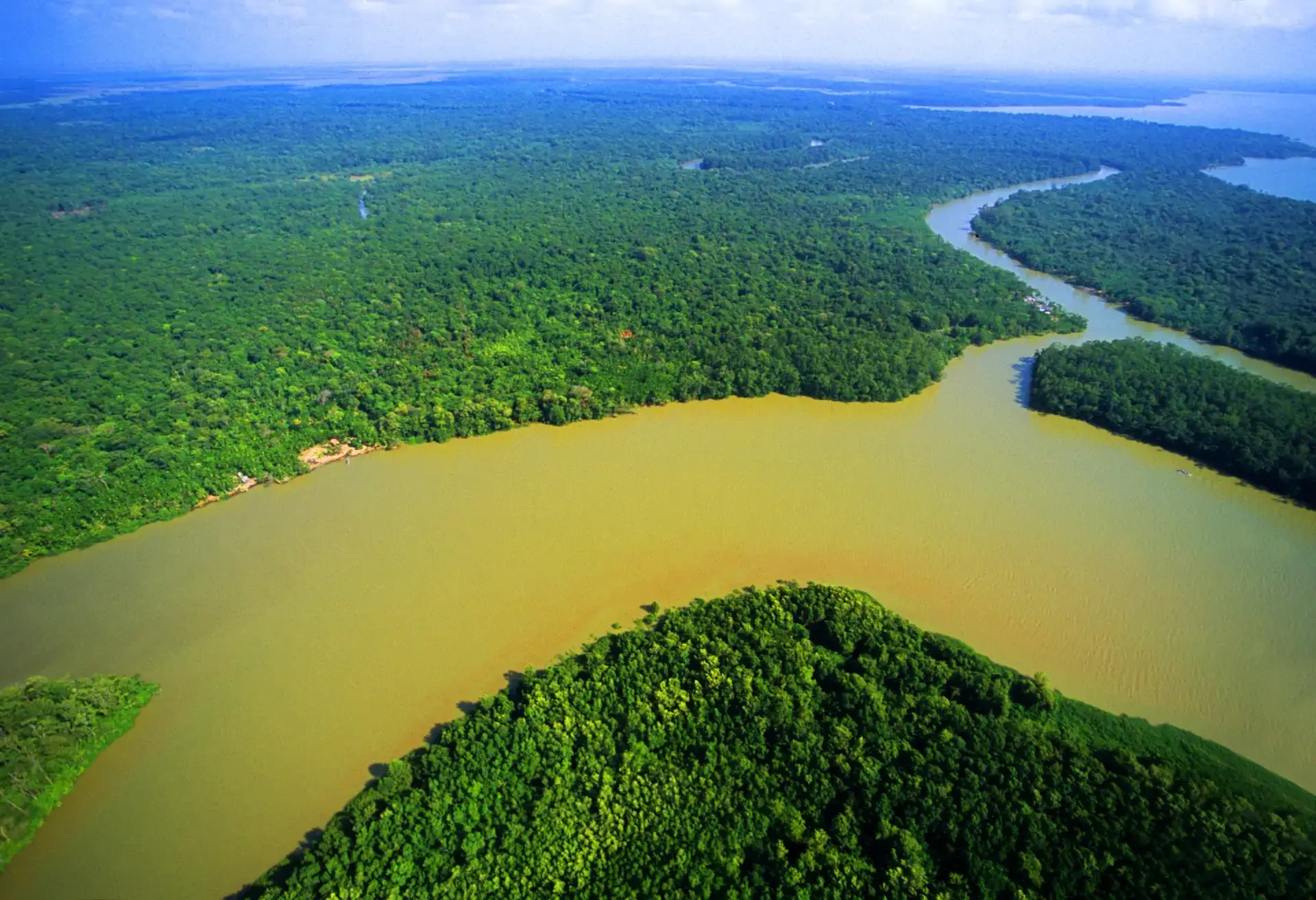 card-9-amazon-river