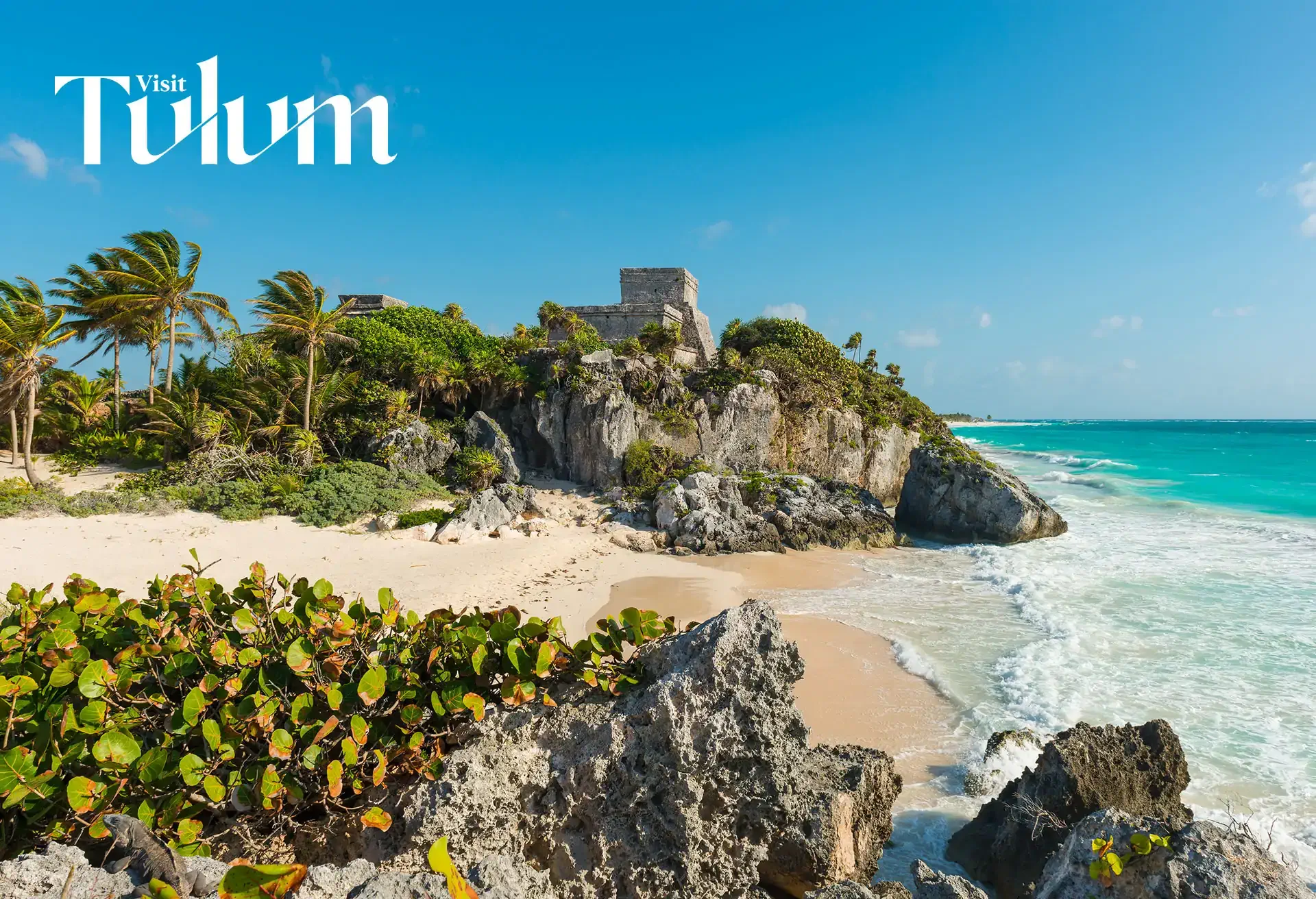 tulum-case-with-logo