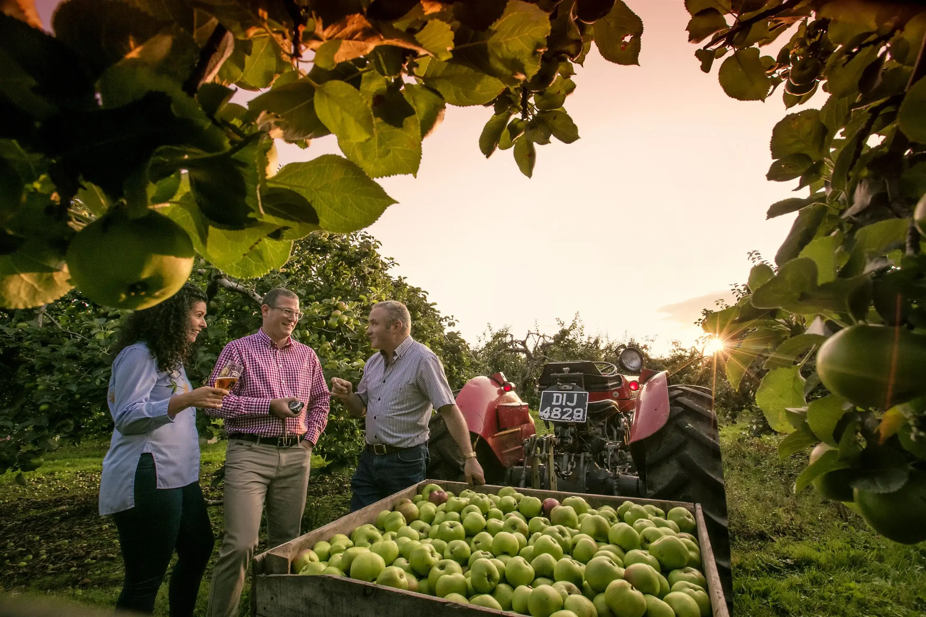 long-meadow-cider-image-1