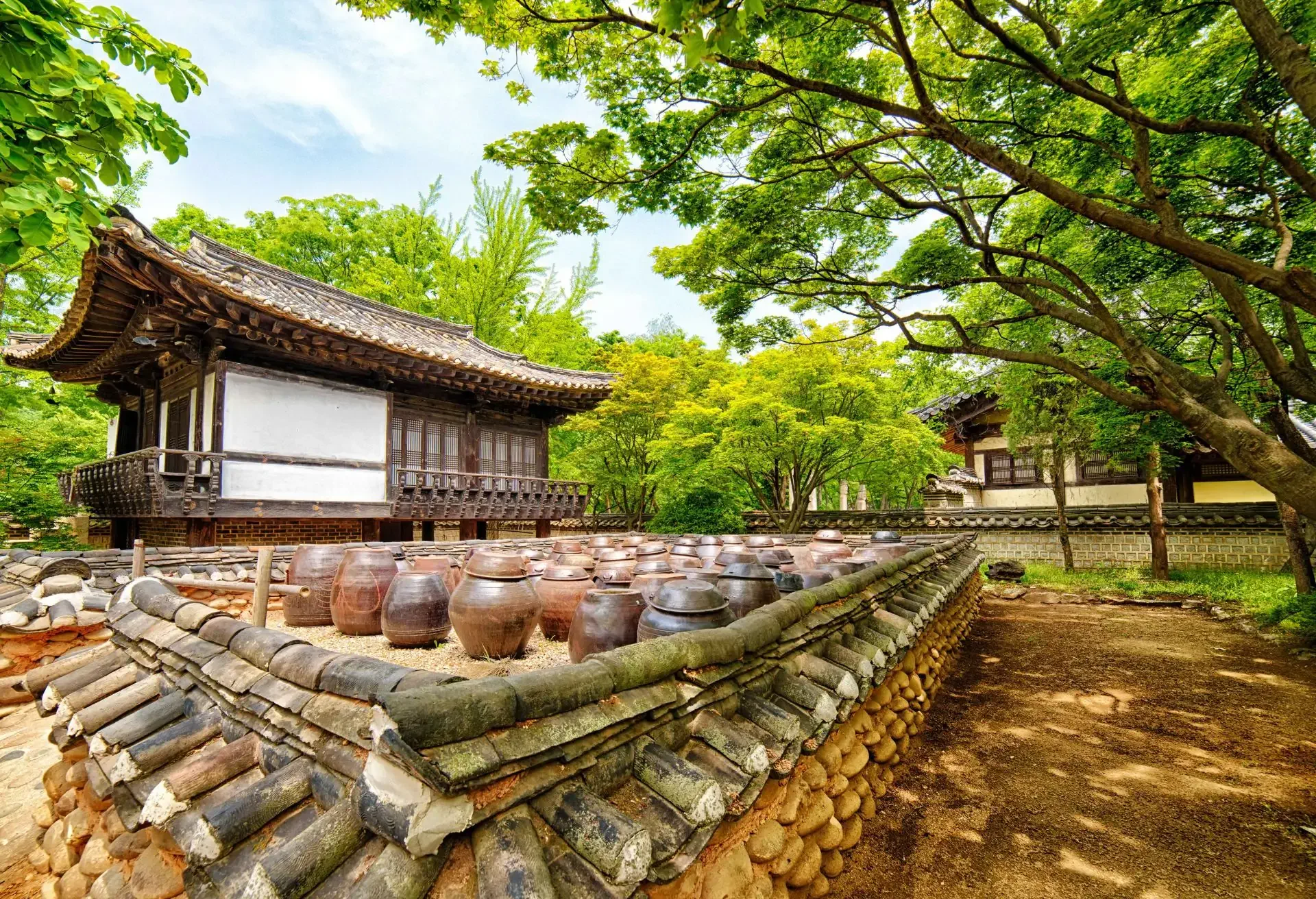 flexi_buddhist-temple-food_1920x1312_korea