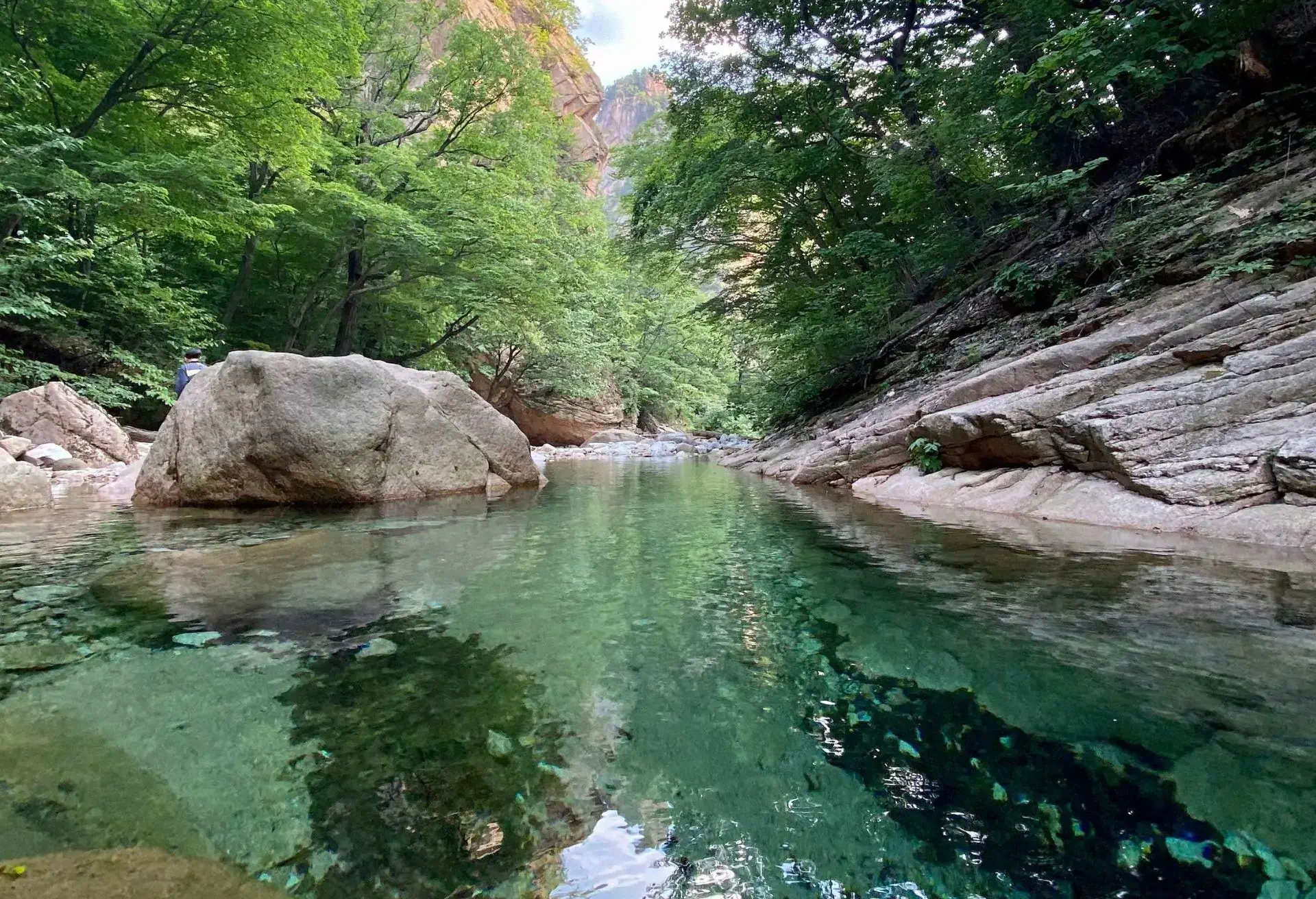 flexi_wellness_card-3_1920x1312_korea