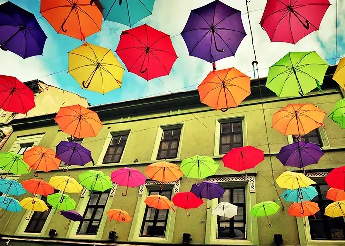 Arsenie Krasnevsky/Shutterstock.com 