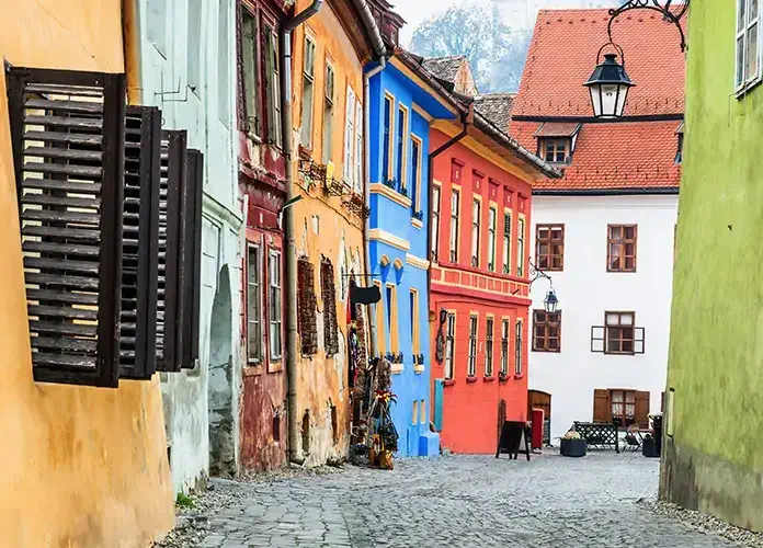Emi Cristea/Shutterstock.com