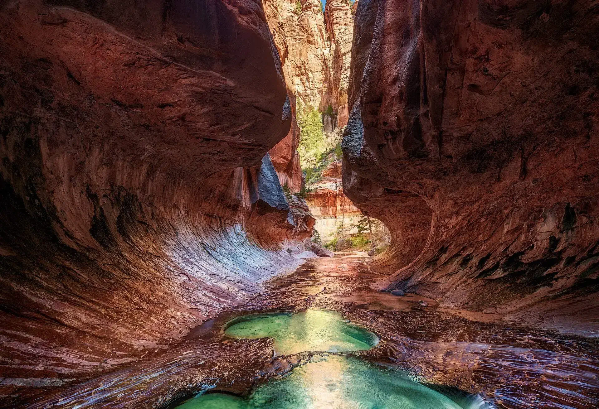 Vivid color in a tight canyon with stream running through. The Subway, Left fork of North Creek , Zion Natioanl Park, Utah. The Subway is a colloquial name for a uniquely shaped slot canyon in Zion National Park. It is located between two peaks called the North and South Guardian Angels, deep within the Left Fork of North Creek. It is part of the larger Great West Canyon system, which includes both the Left and Right Forks of North Creek. The Subway is so named for its tube-like, undercut slot canyons. This segment of canyon is less than 0.25 miles (0.40 km) in length, but long approach and exit hikes are necessary for access.