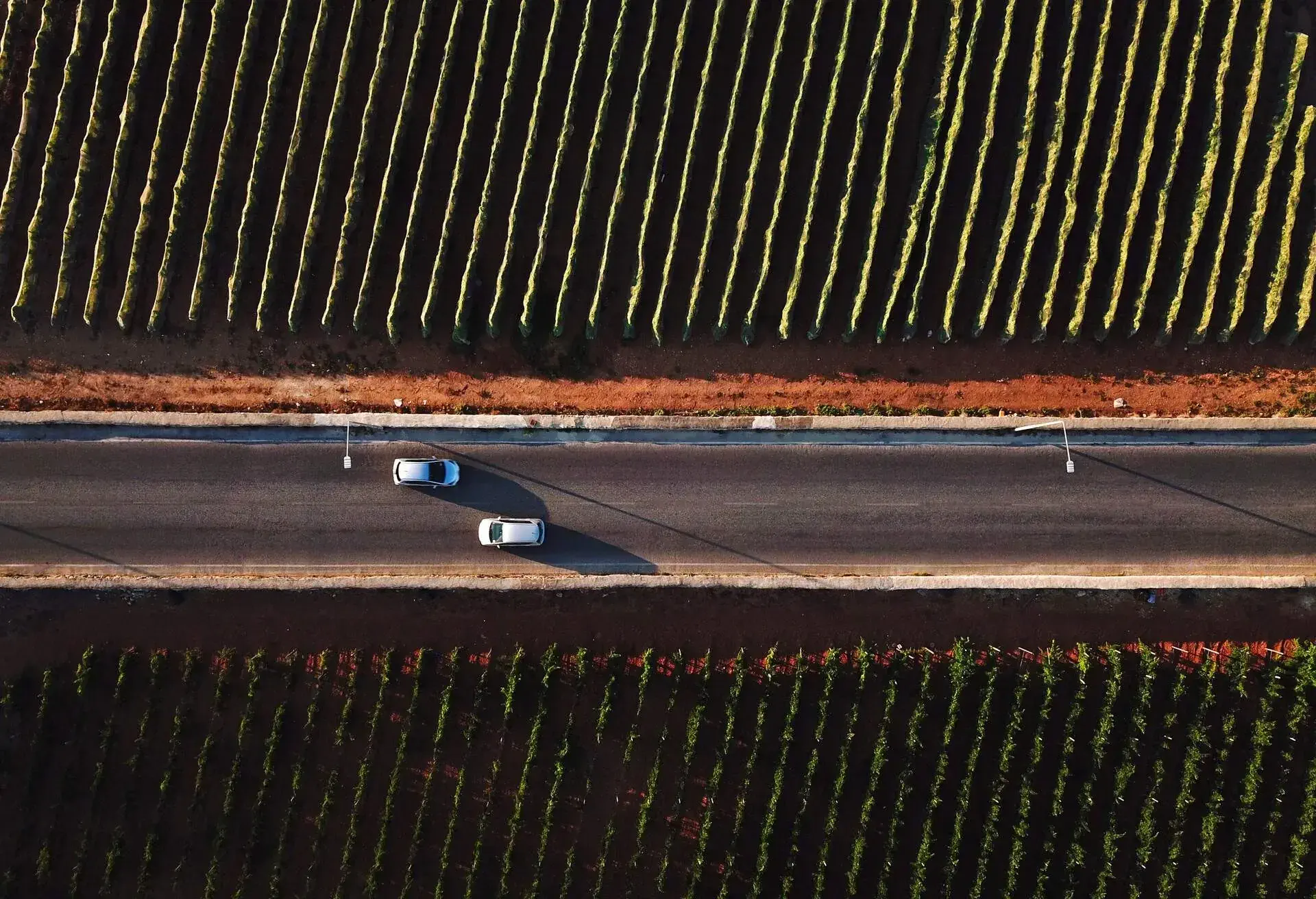 DEST_MALTA_THEME_VINEYARDS_CAR_AERIAL_GettyImages-1171109471