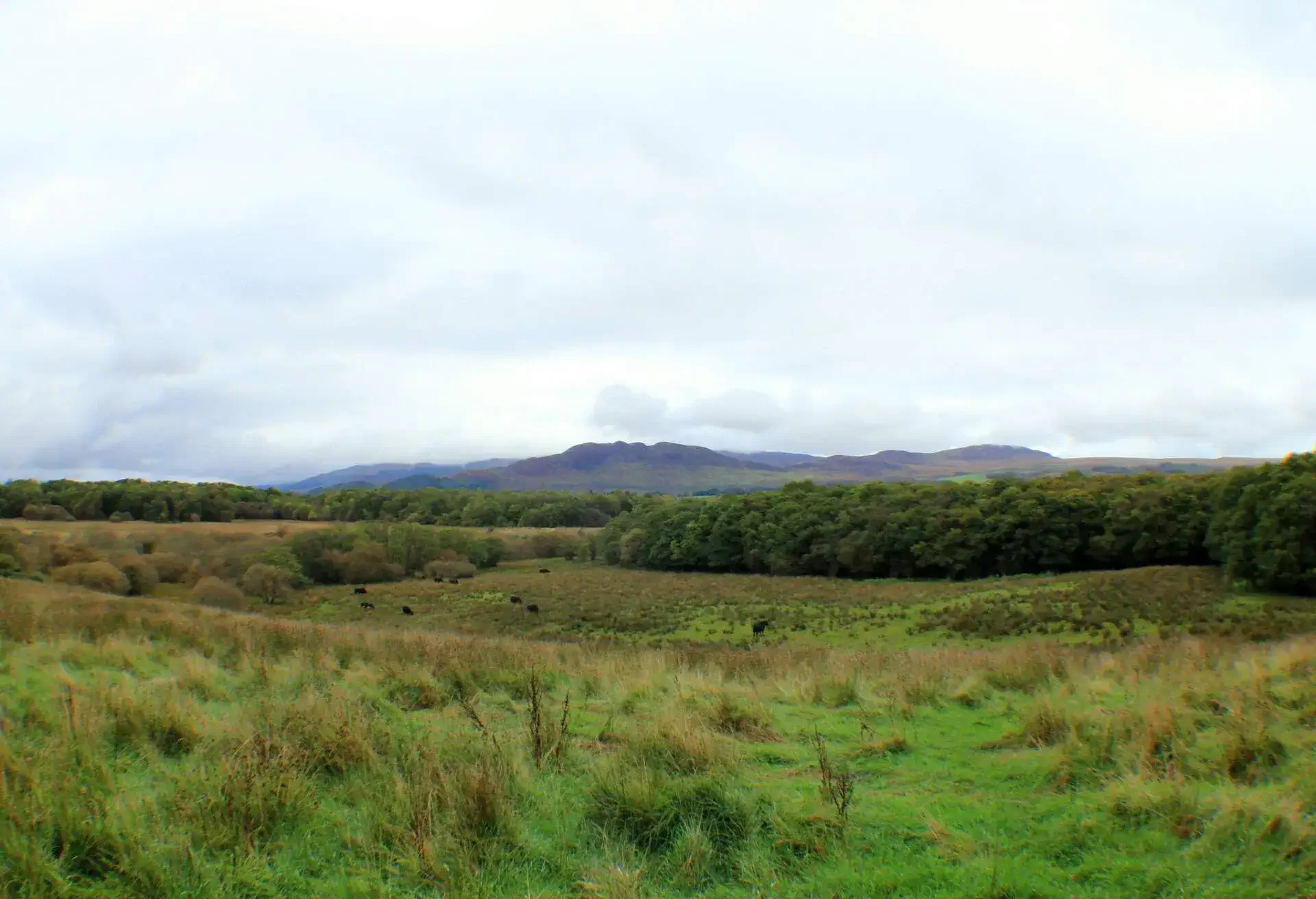 ALEXANDRIA LOCH LOMOND