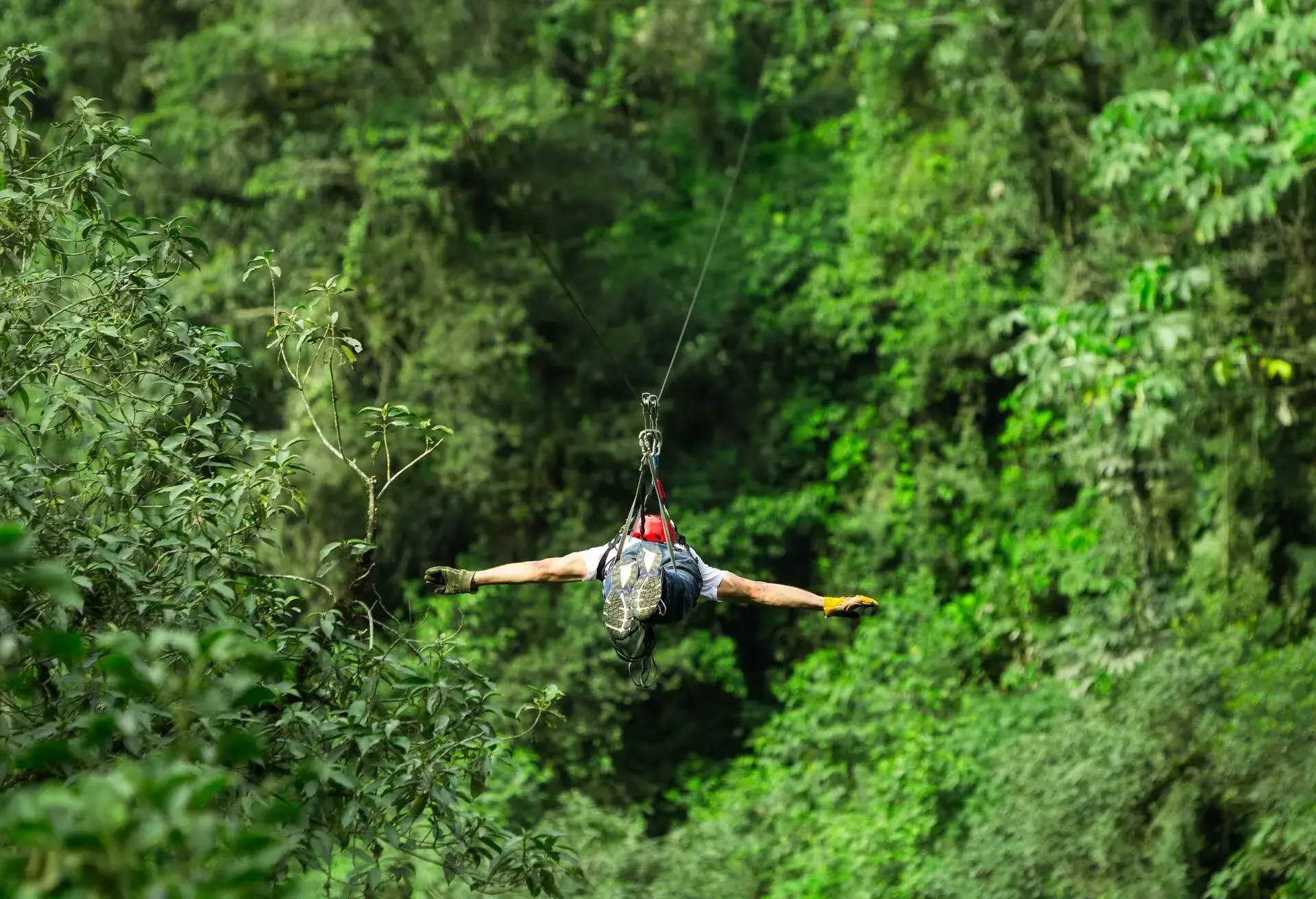ziplining