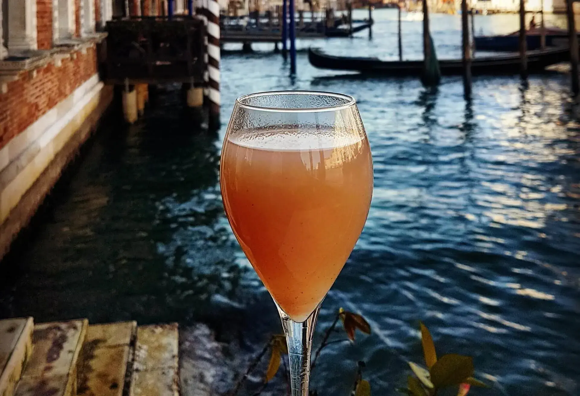 bellini venice