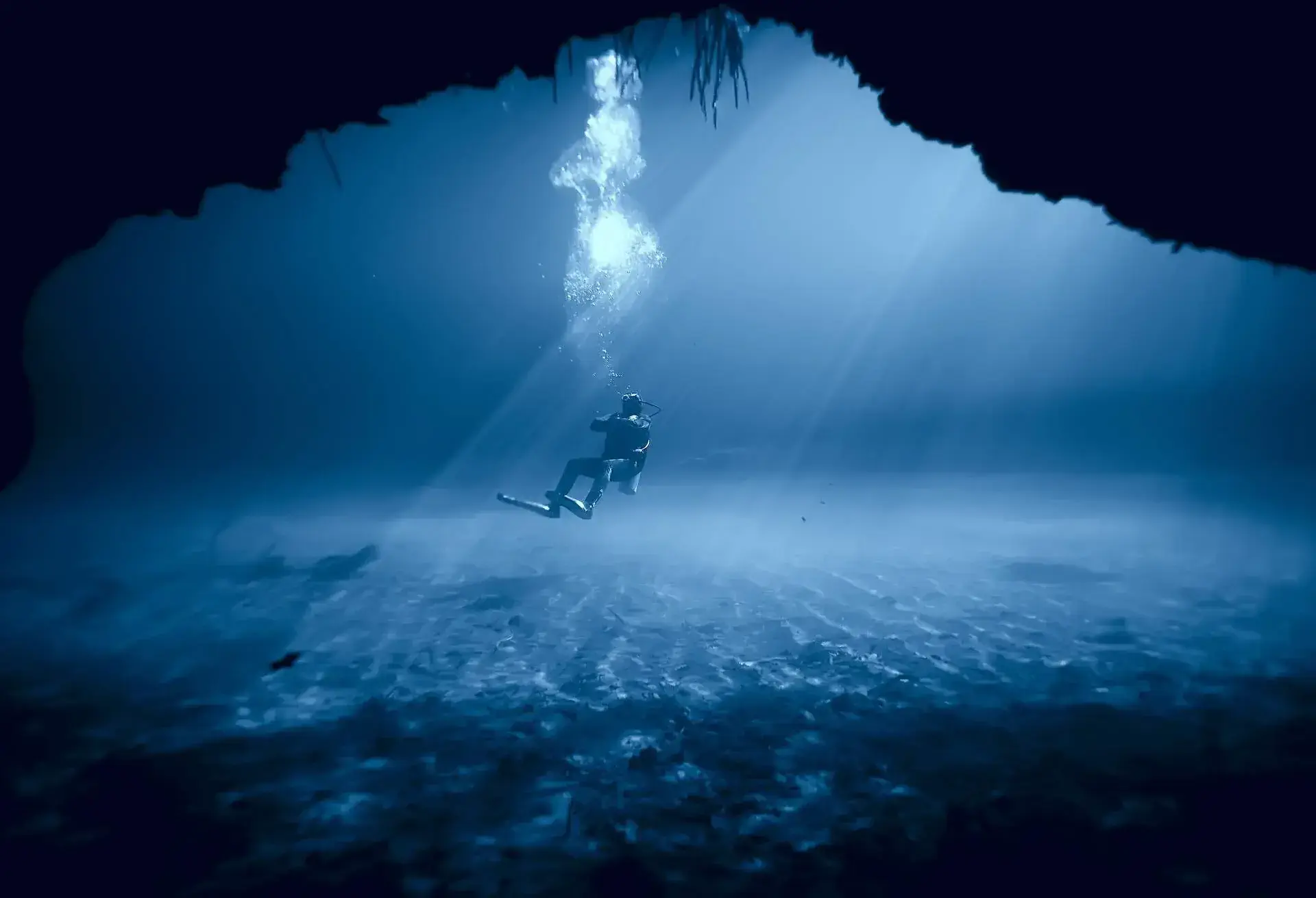 cenote underwater