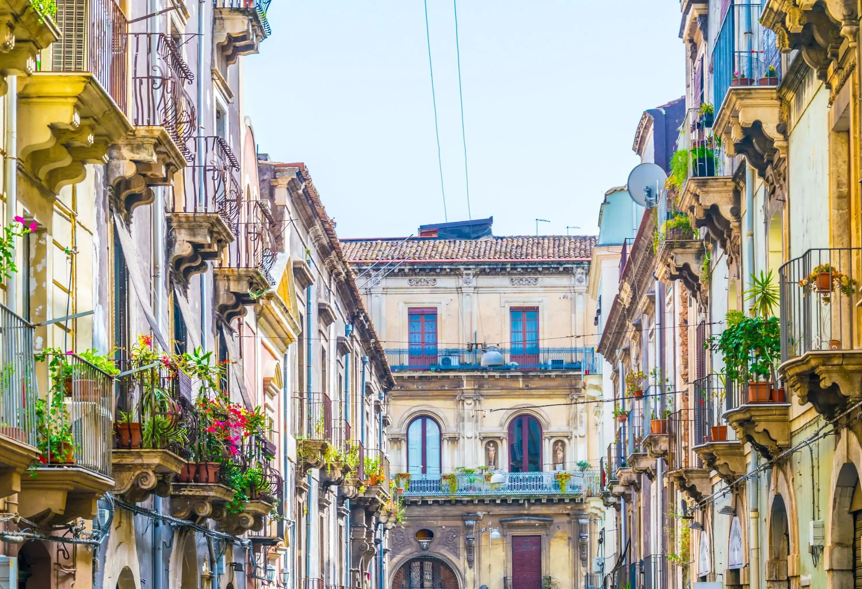 Old city buildings with iron window balconies and potted plants.