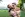 preload