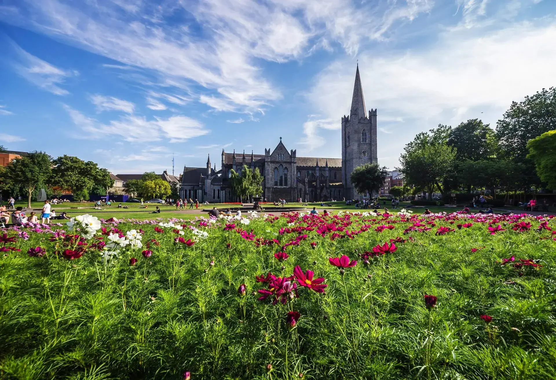 The cathedral of St Patrick in Dublin on a sunny summer day with pink flowers in the front