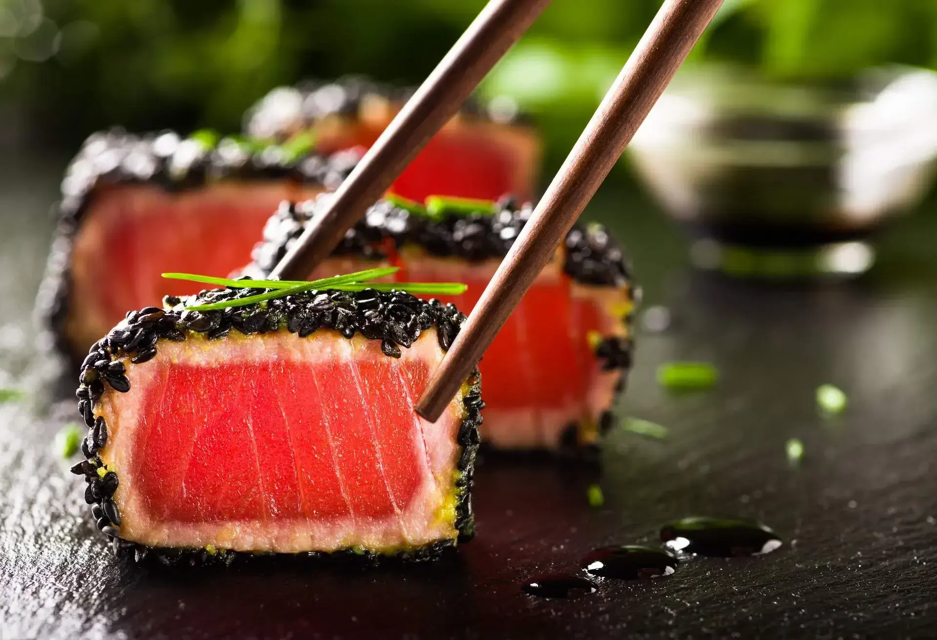 THEME_FOOD_JAPANESE CUISINE-SUSHI