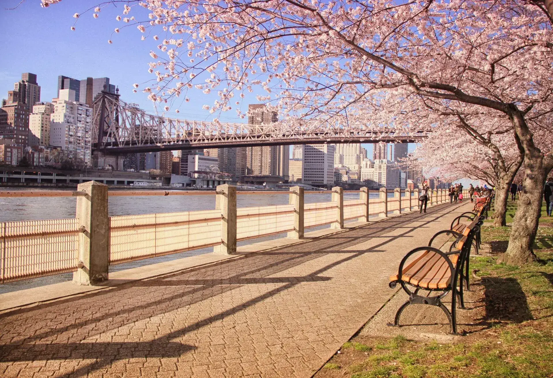 DEST_USA_NY_NYC_ROOSEVELT_ISLAND_ shutterstock-premier_1150097009