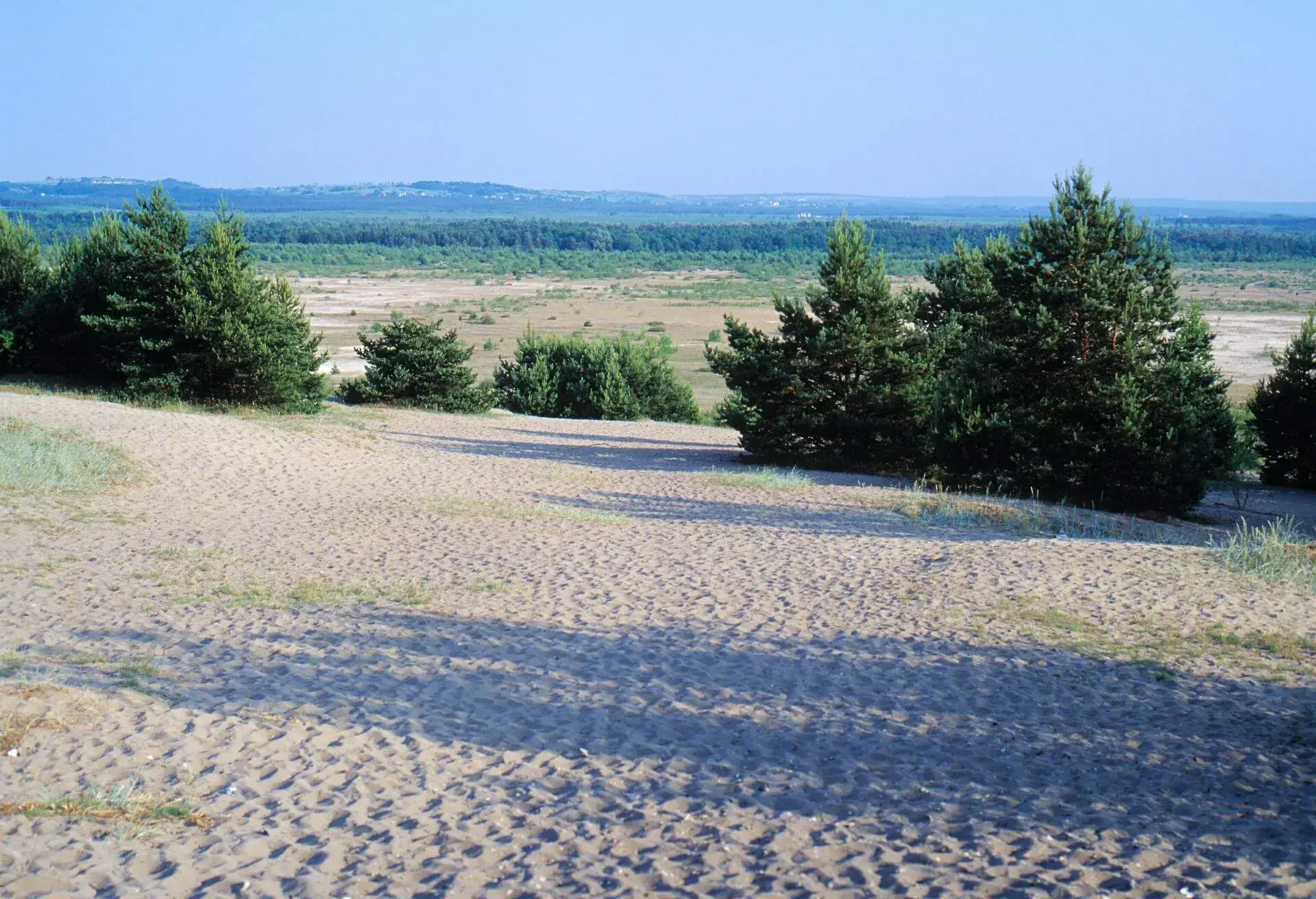 Bledowska desert, Poland; Shutterstock ID 1038790240