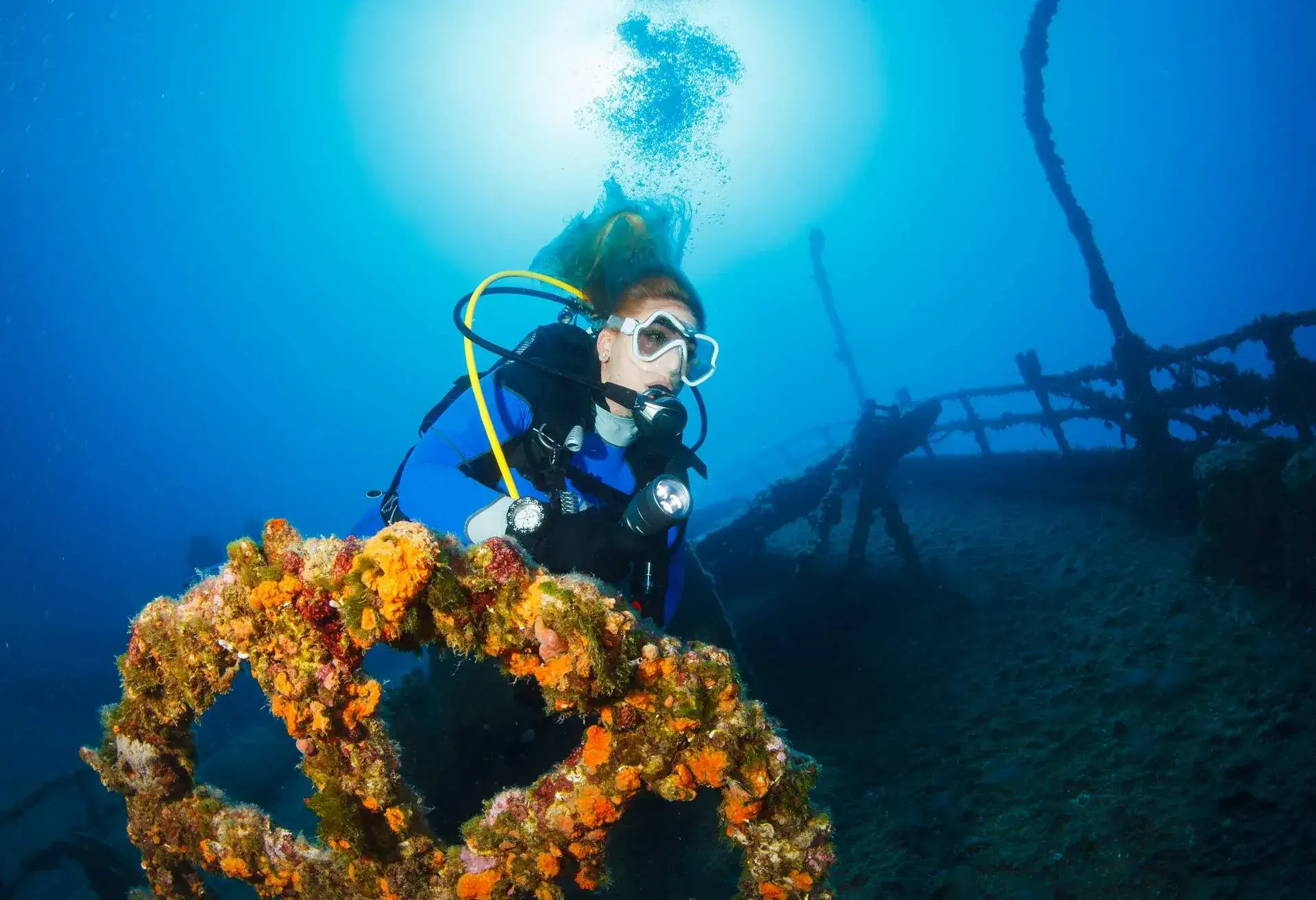 Scuba diving Exploring and enjoying Wreck diving over a shipwreck Sea life Sporting women.
