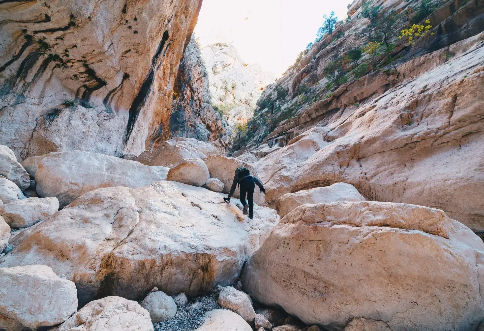 DEST_ITALY_SARDINIA_Gola-Su-Gorroppu_RAVINE_THEME_NATURE_GettyImages-915201952.jpg