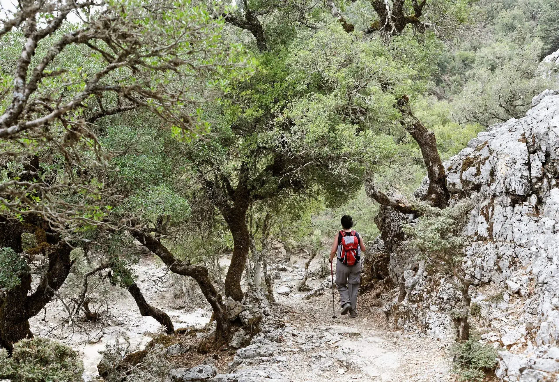DEST_GREECE_CRETE_MOUNT_IDA_ROUVAS_GORGE_PEOPLE_WOMAN_HIKER_GettyImages-135383423