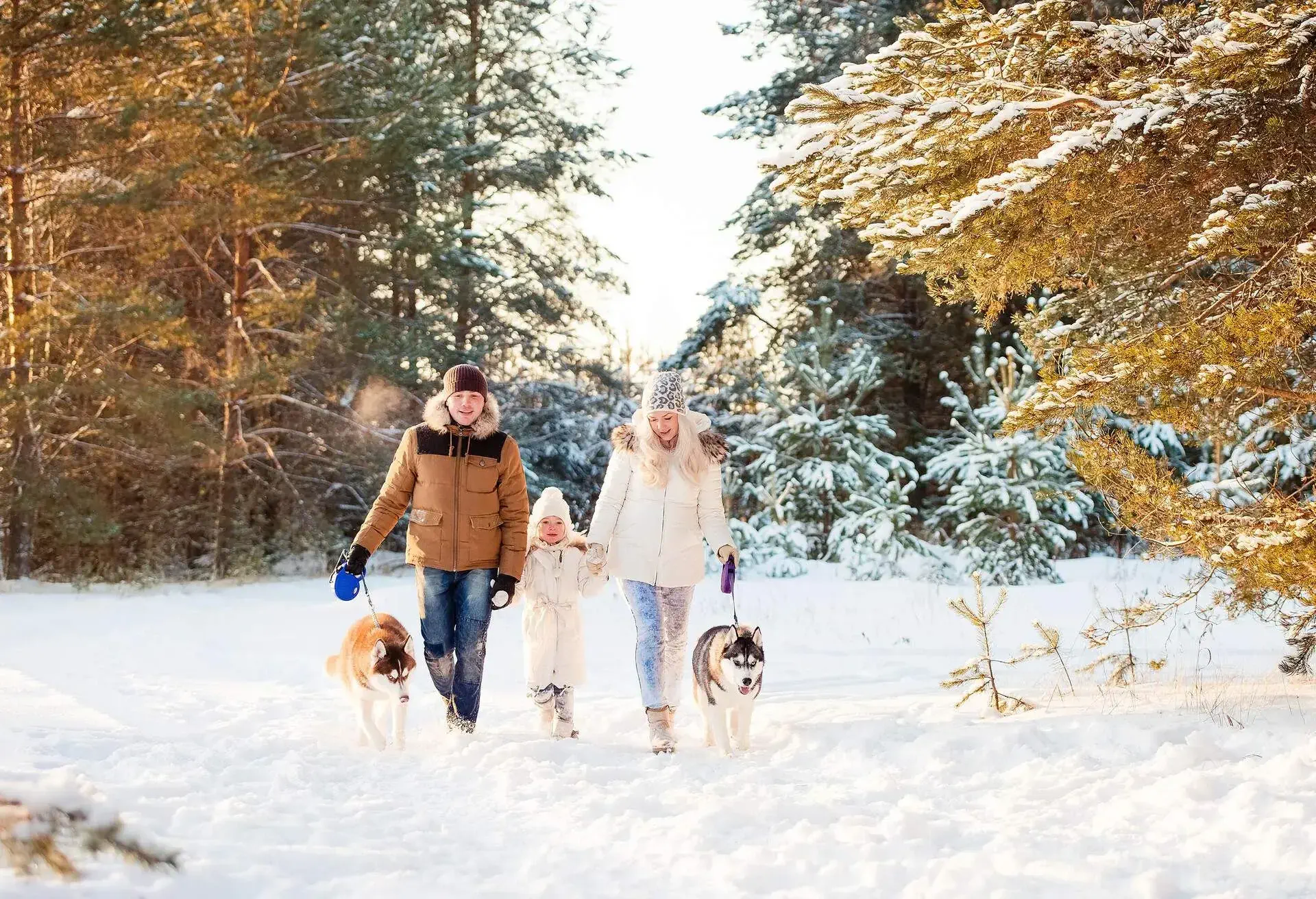 THEME_WINTER_SNOW_FAMILY_PET_DOG_HIKE-WOODS-shutterstock-portfolio_200771528
