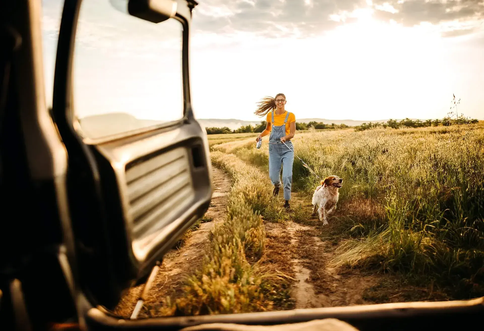 theme_car_roadtrip_dog_people_gettyimages