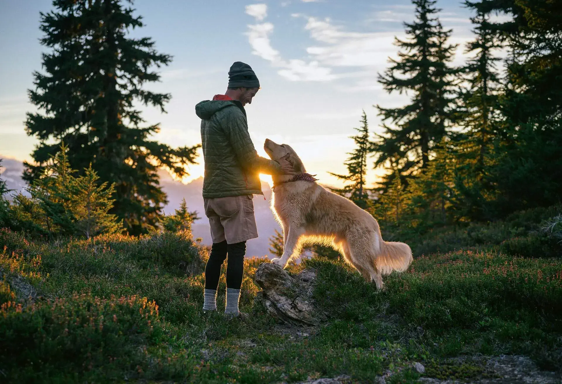 DEST_USA_WASHINGTON-STATE_DARRINGTON_THEME_DOG_HIKING_GettyImages-1298867864