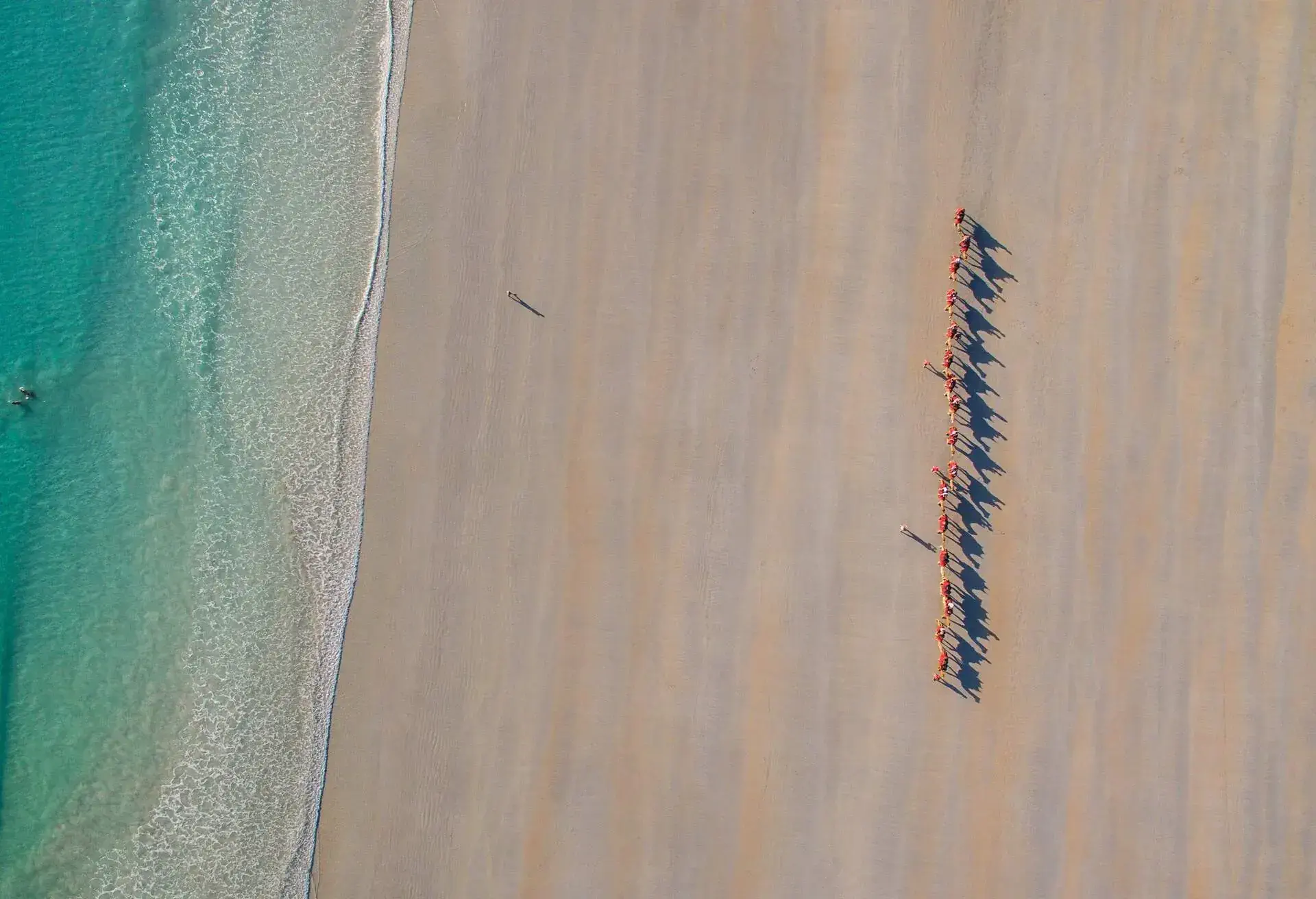 DEST_AUSTRALIA_BROOME_CABLE-BEACH_CAMELS_shutterstock-portfolio_483623749