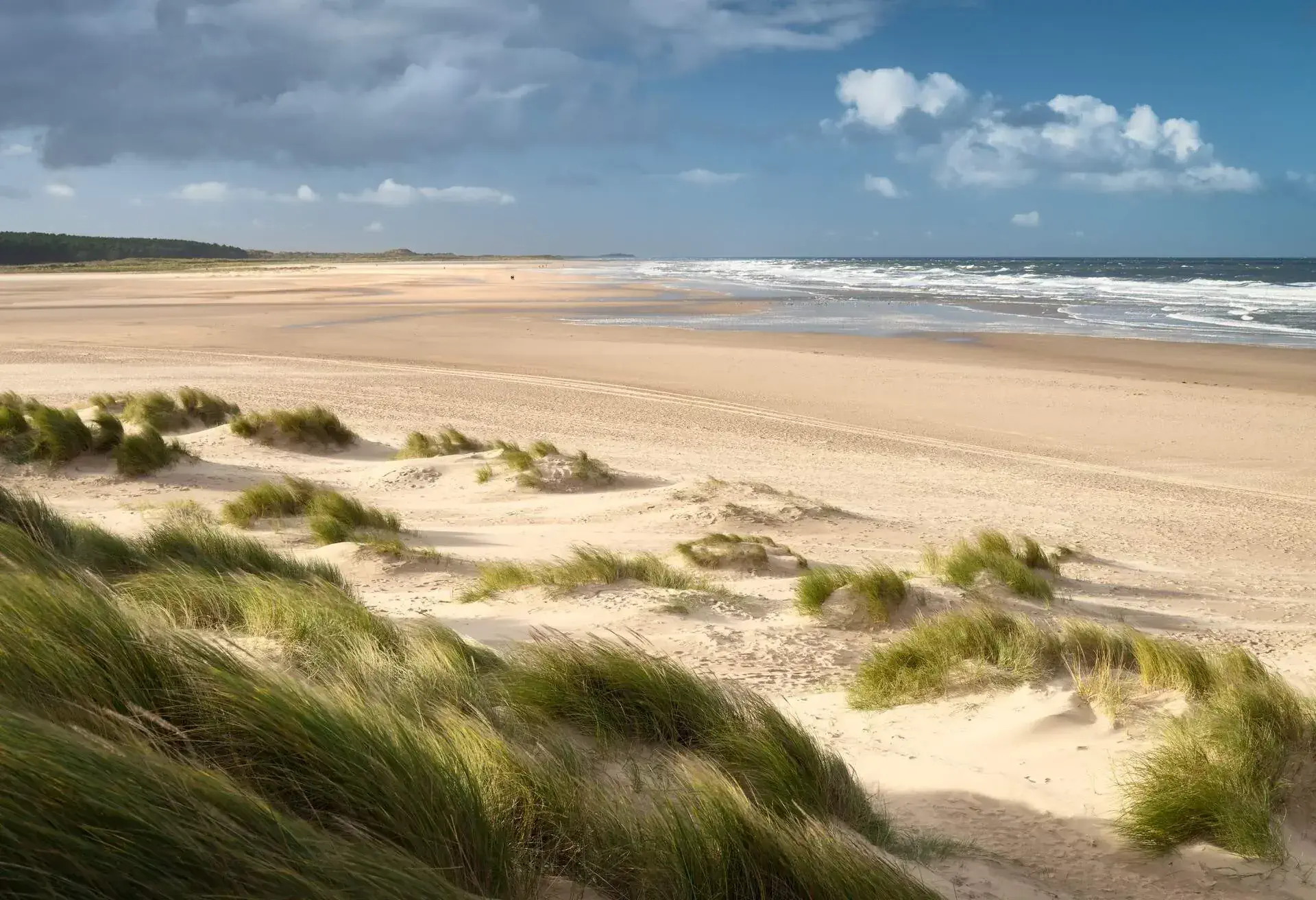 ENGLAND_UK_NORTH_NORFOLK_HOLKHAM_BEACH_SAND_DUNES