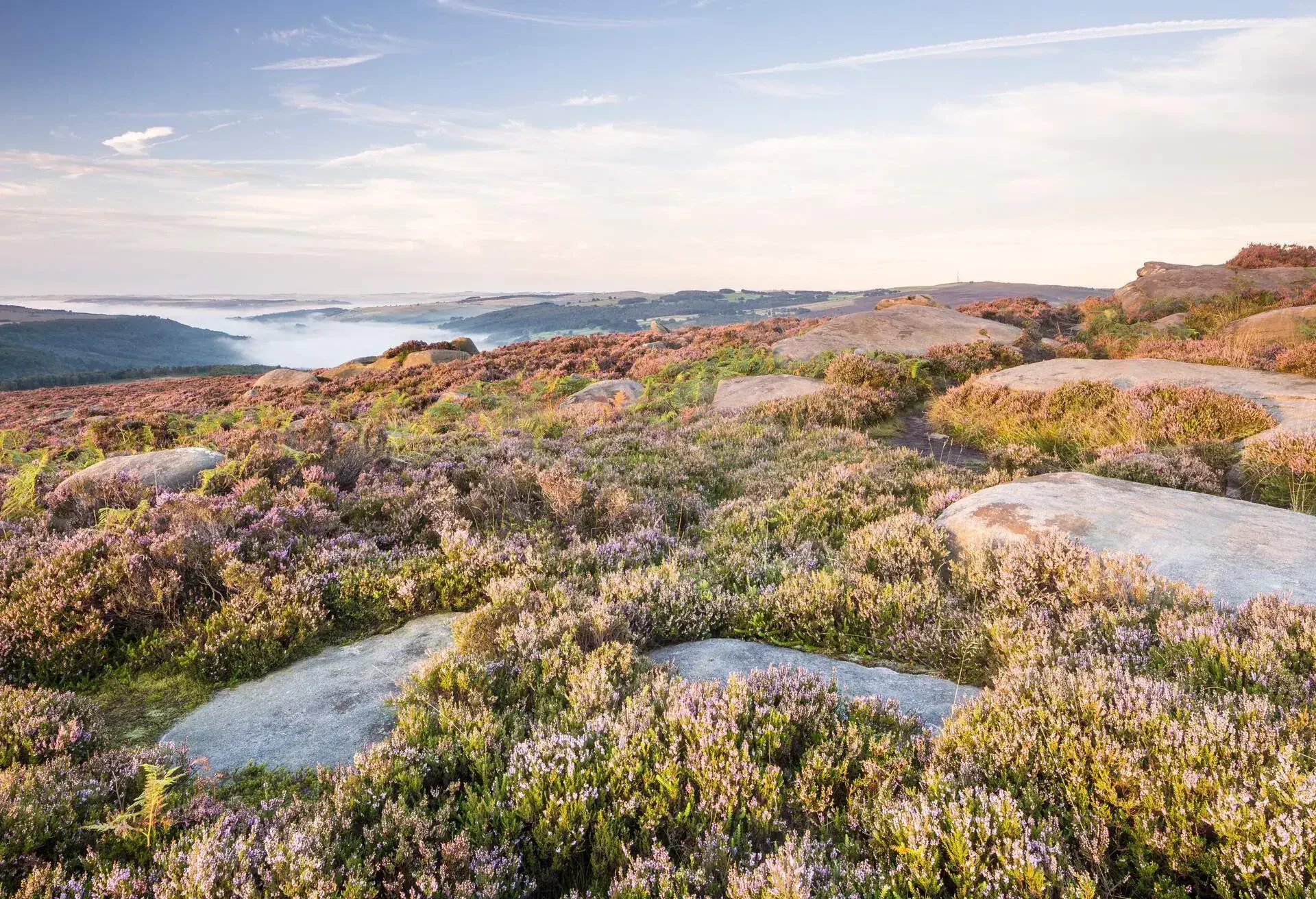 DEST_UK_ENGLAND_PEAK-DISTRICT_OWLER-TOR_GettyImages-682086385