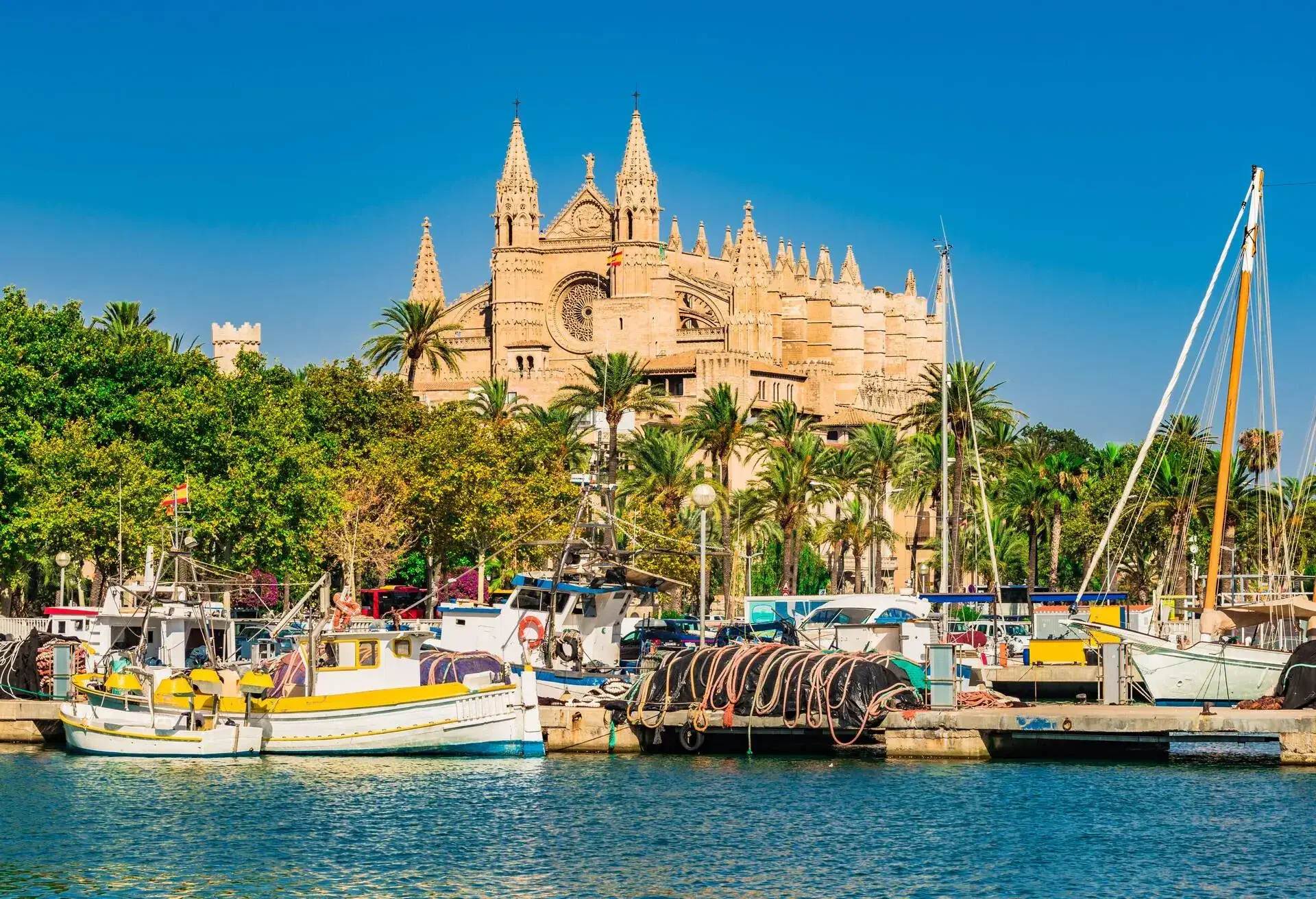 palma mallorca center of the city
